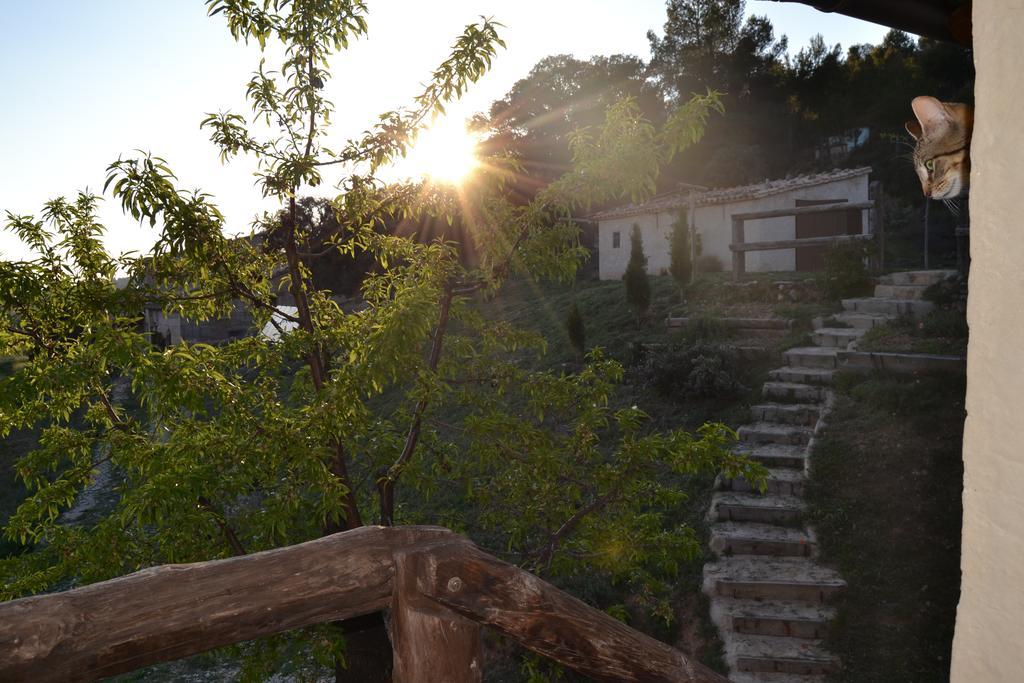 Mas De Salvador Villa Penarroya De Tastavins Bagian luar foto