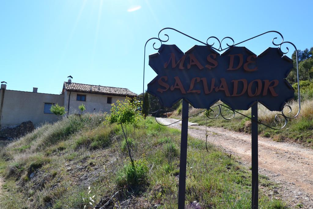 Mas De Salvador Villa Penarroya De Tastavins Bagian luar foto