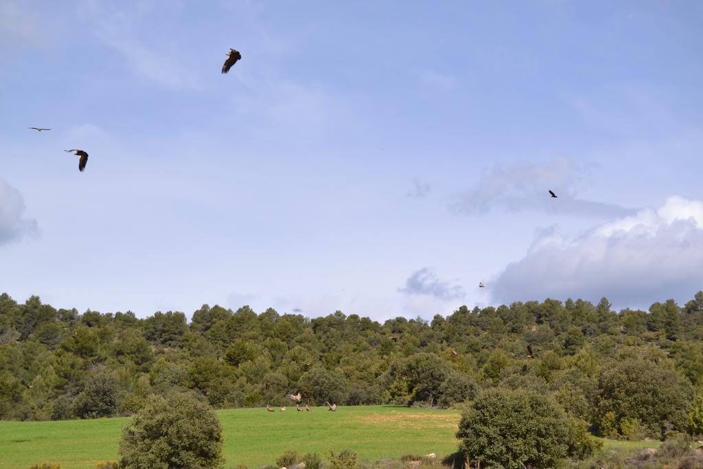 Mas De Salvador Villa Penarroya De Tastavins Bagian luar foto